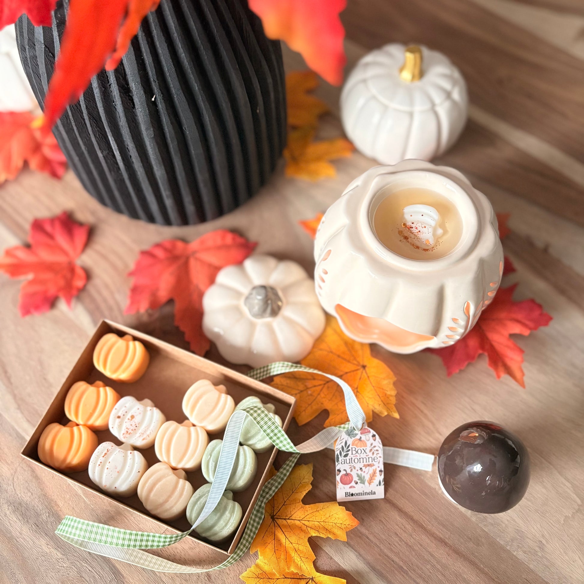 Box fondants parfumés - automne
