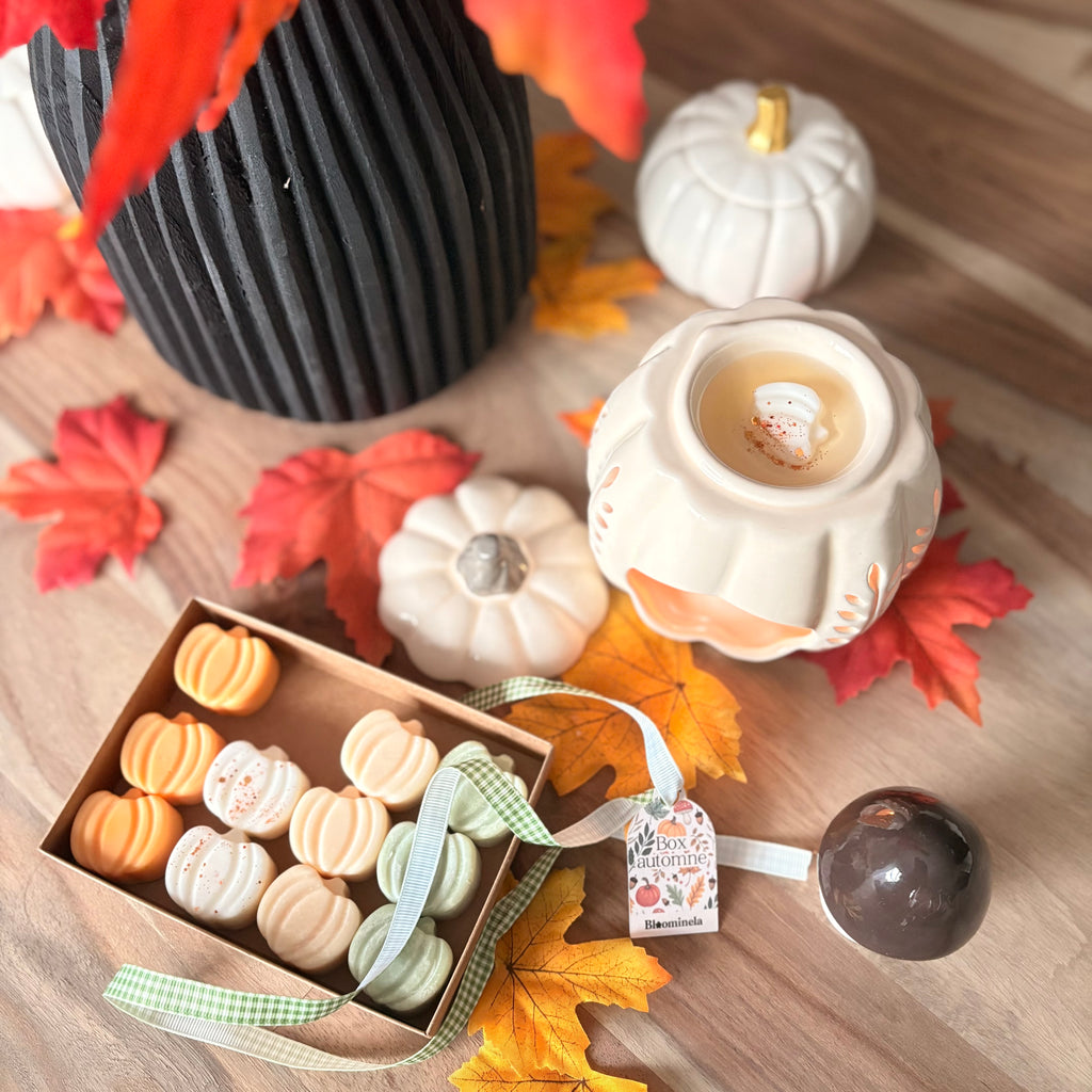 Box fondants parfumés - automne