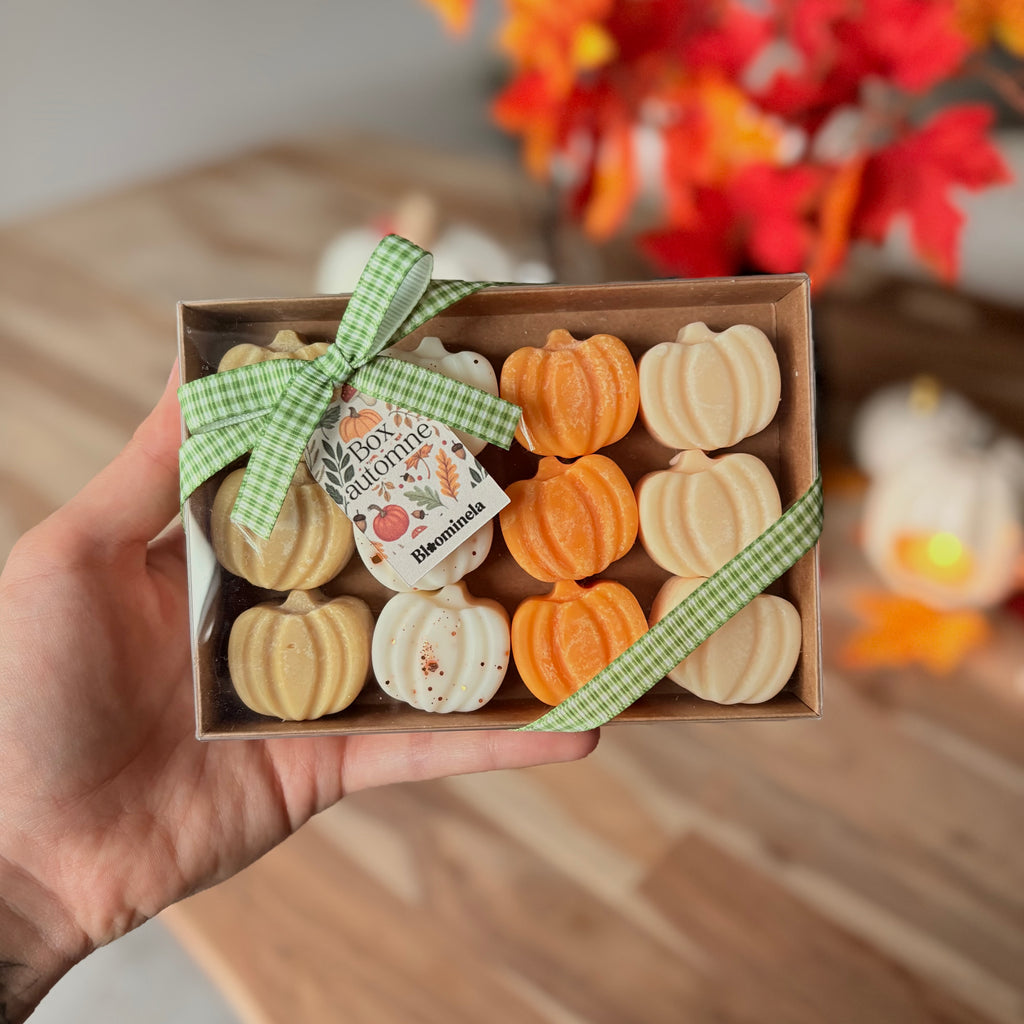 Box fondants parfumés - automne